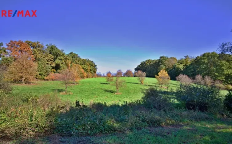 Prodej sadu/vinice, Zlín, 5599 m2