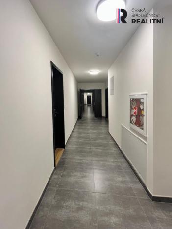 Pronájem bytu 2+kk, Praha - Břevnov, Radimova, 59 m2