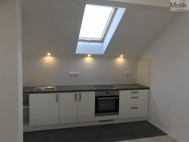 Pronájem bytu 1+kk, Teplice - Řetenice, Smetanova, 30 m2