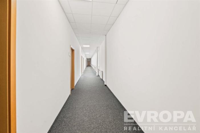 Pronájem kanceláře, Praha - Strašnice, V olšinách, 46 m2