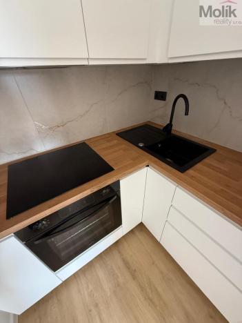 Prodej bytu 2+kk, Most, Františka Malíka, 40 m2