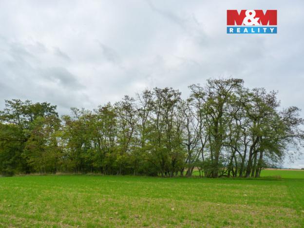 Prodej lesa, Drahobuz, 1252 m2