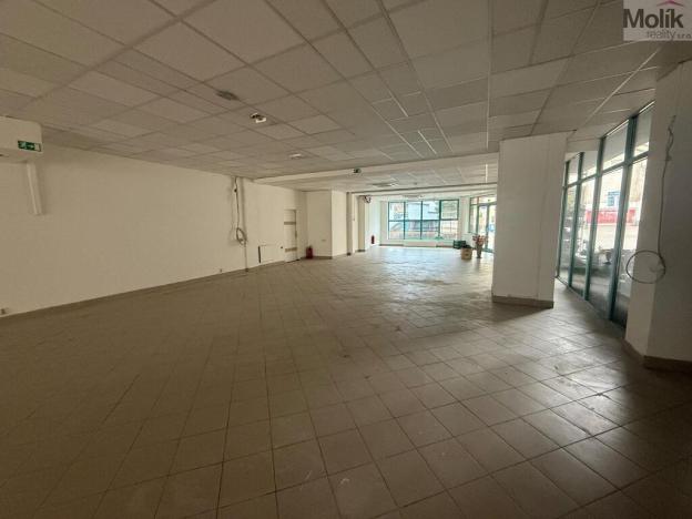 Pronájem obchodního prostoru, Litvínov - Horní Litvínov, 9. května, 204 m2