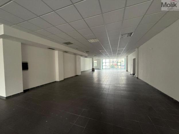Pronájem obchodního prostoru, Litvínov - Horní Litvínov, 9. května, 204 m2