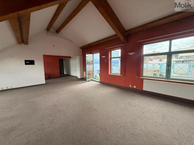 Pronájem bytu 4+kk, Litvínov - Horní Litvínov, 9. května, 172 m2