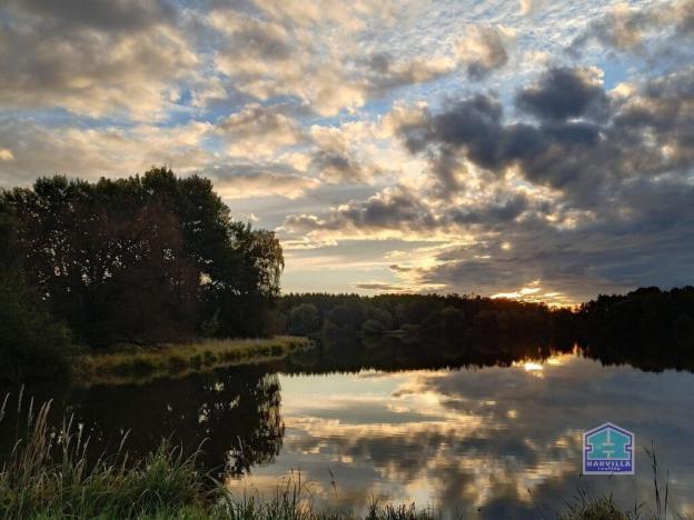 Prodej rybníku, Přehýšov, 93966 m2