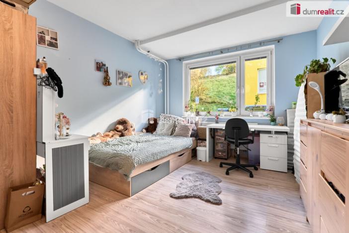 Prodej bytu 3+1, Ostrov, Lidická, 75 m2