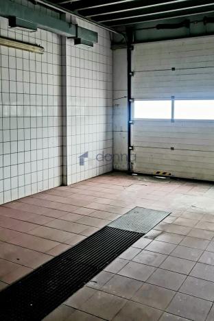 Pronájem obchodního prostoru, Praha, Za Mototechnou, 1137 m2