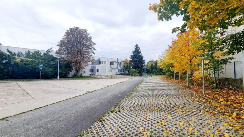 Pronájem obchodního prostoru, Praha, Za Mototechnou, 1137 m2