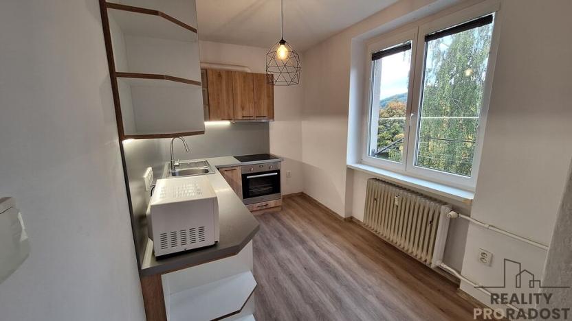 Pronájem bytu 2+1, Ústí nad Labem, Školní, 52 m2