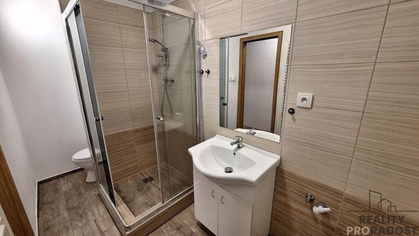 Pronájem bytu 2+1, Ústí nad Labem, Školní, 52 m2