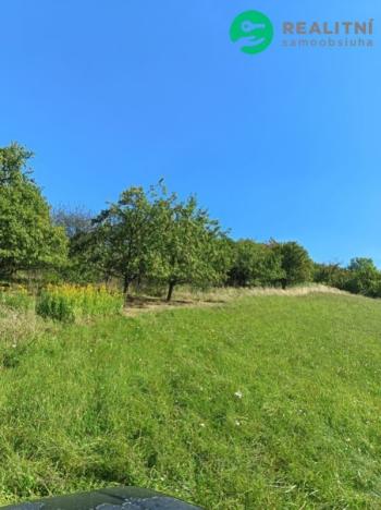 Prodej zahrady, Koryčany - Blišice, 4839 m2