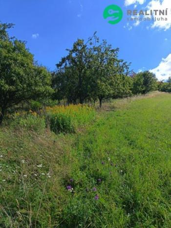 Prodej zahrady, Koryčany - Blišice, 4839 m2