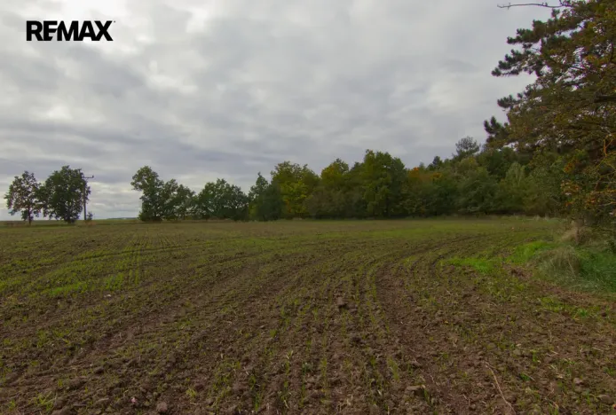 Prodej pozemku pro bydlení, Slaný, 3200 m2