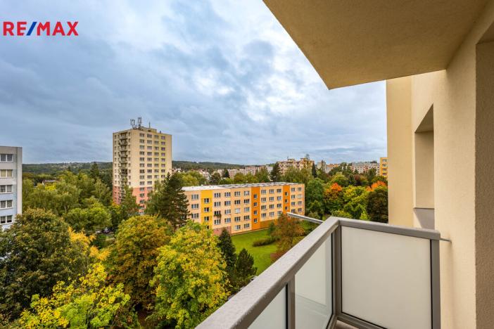 Prodej bytu 1+1, Tábor, Jaselská, 37 m2