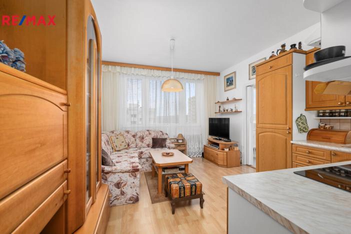 Prodej bytu 1+1, Tábor, Jaselská, 37 m2