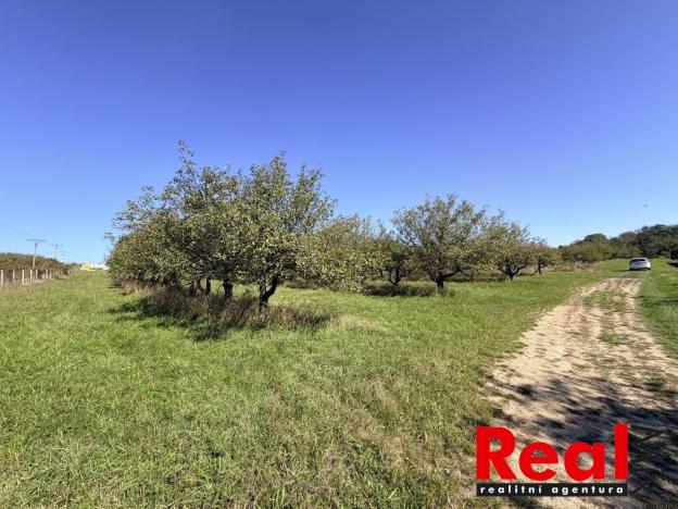 Prodej pozemku pro bydlení, Veverské Knínice, 3129 m2