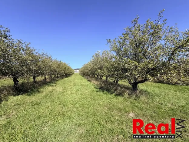 Prodej pozemku pro bydlení, Veverské Knínice, 3129 m2