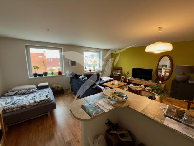 Pronájem komerční nemovitosti, Staňkov, Nádražní, 51 m2