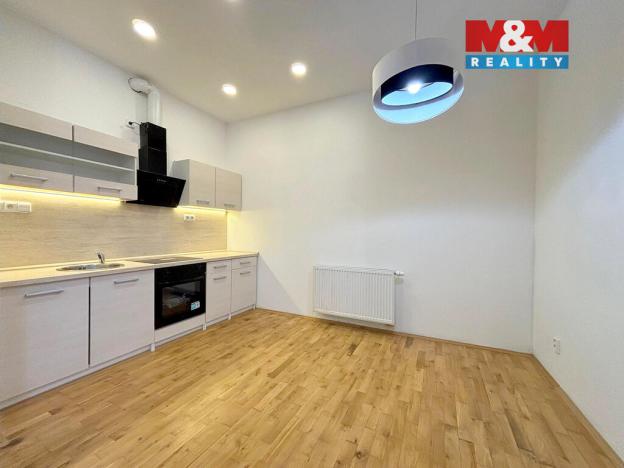 Pronájem bytu 2+kk, Litoměřice - Litoměřice-Město, Dlouhá, 55 m2