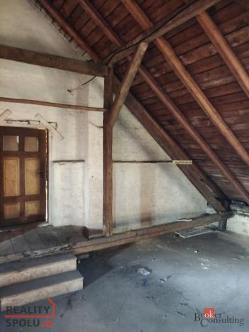 Prodej obchodního prostoru, Telč - Telč-Podolí, Svatoanenská, 600 m2