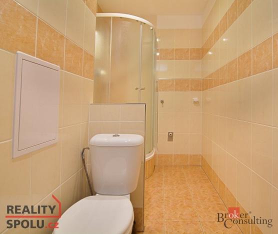 Pronájem bytu 2+kk, České Budějovice - České Budějovice 3, Čéčova, 49 m2