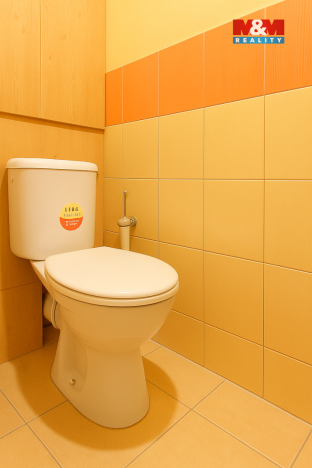 Prodej bytu 2+1, Ústí nad Orlicí, Nová, 59 m2