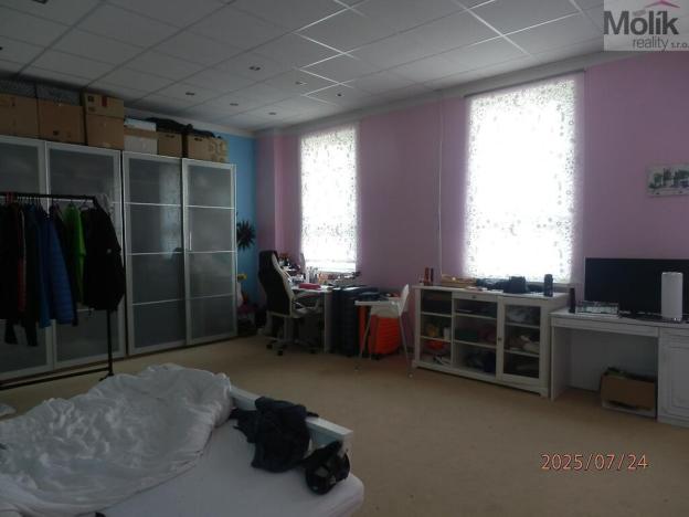 Prodej komerční nemovitosti, Vysoká Pec, 1300 m2