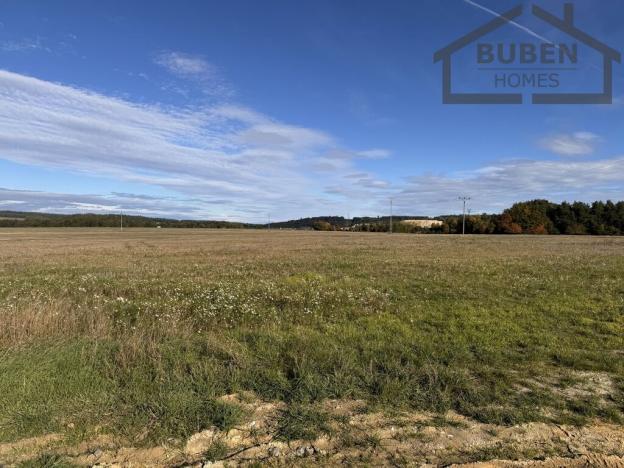 Prodej pozemku pro bydlení, Bor, U trati, 10360 m2