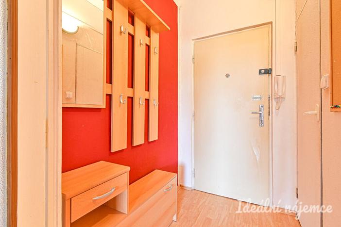 Pronájem bytu 1+kk, Brno, Vychodilova, 26 m2