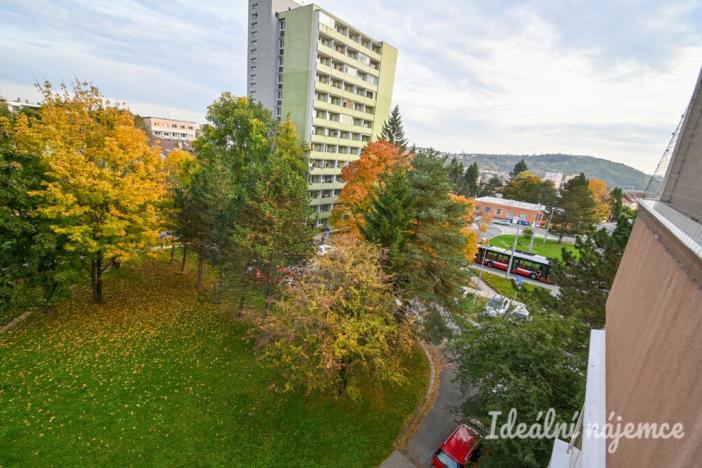 Pronájem bytu 1+kk, Brno, Vychodilova, 26 m2