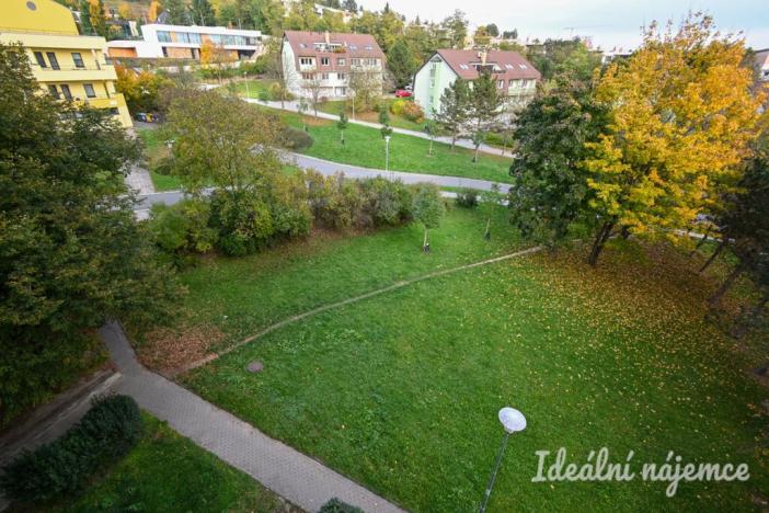 Pronájem bytu 1+kk, Brno, Vychodilova, 26 m2