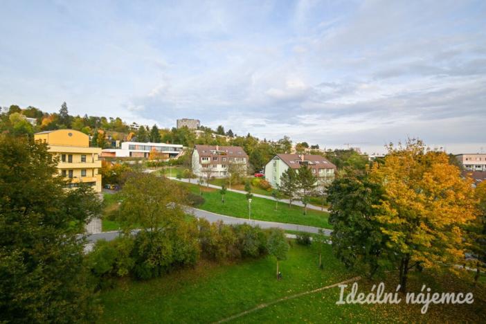 Pronájem bytu 1+kk, Brno, Vychodilova, 26 m2