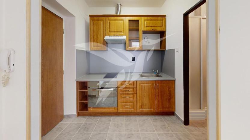 Pronájem bytu 1+kk, Zbůch, Průkopnická, 23 m2