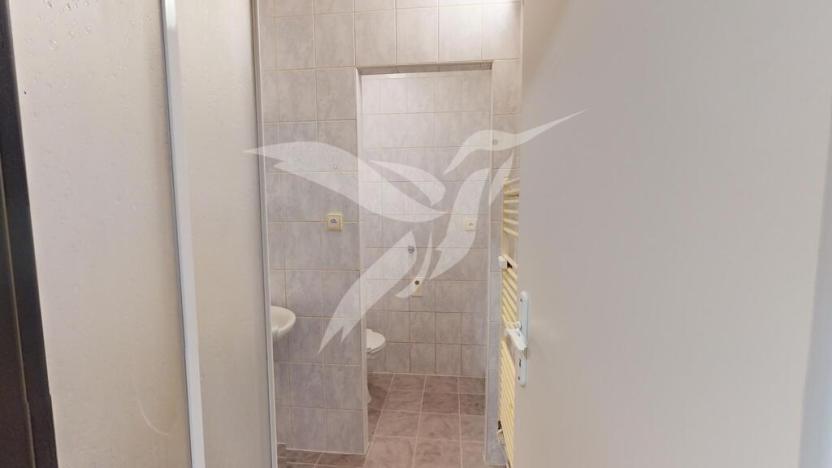 Pronájem bytu 1+kk, Zbůch, Průkopnická, 23 m2