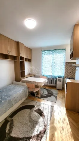 Pronájem bytu 1+kk, Brandýs nad Labem-Stará Boleslav - Brandýs nad Labem, Královická, 22 m2