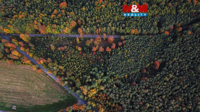 Prodej lesa, Luže - Bělá, 26435 m2