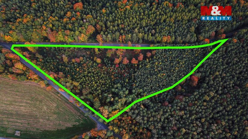 Prodej lesa, Luže - Bělá, 26435 m2