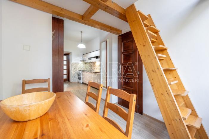 Pronájem bytu 1+1, Brno, Reissigova, 48 m2