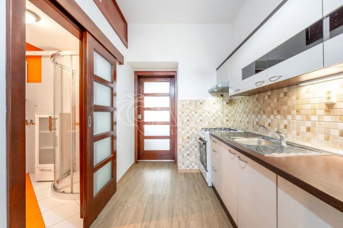 Pronájem bytu 1+1, Brno, Reissigova, 48 m2