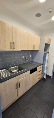 Pronájem komerční nemovitosti, Praha, Radlická, 208 m2