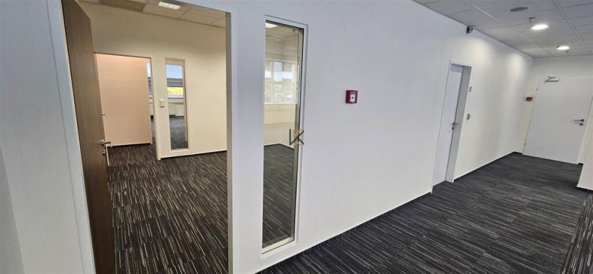 Pronájem komerční nemovitosti, Praha, Radlická, 576 m2