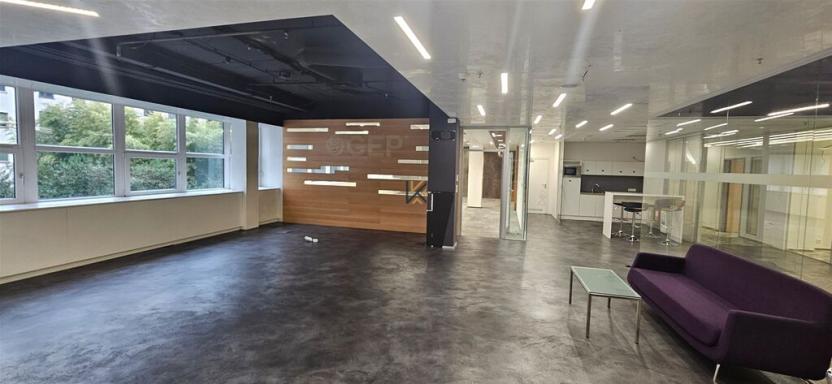 Pronájem komerční nemovitosti, Praha, Radlická, 2344 m2