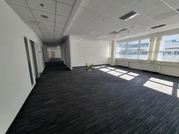 Pronájem komerční nemovitosti, Praha, Radlická, 789 m2