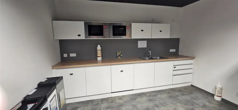 Pronájem komerční nemovitosti, Praha, Radlická, 789 m2