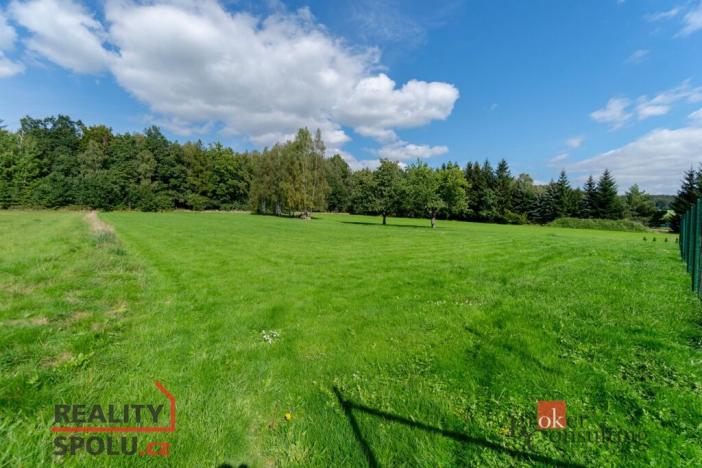 Prodej pozemku pro bydlení, Nové Město pod Smrkem, 3393 m2