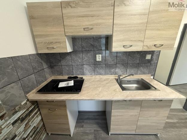 Pronájem bytu 1+1, Most, Lesní, 30 m2