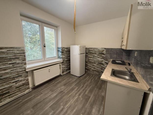 Pronájem bytu 1+1, Most, Lesní, 30 m2