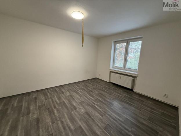 Pronájem bytu 1+1, Most, Lesní, 30 m2