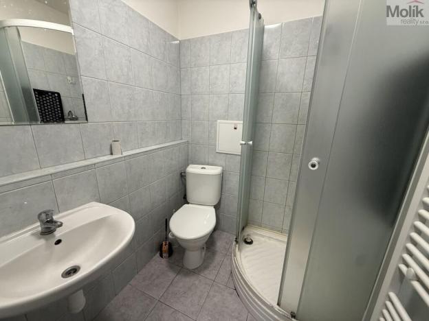 Pronájem bytu 1+1, Most, Lesní, 30 m2